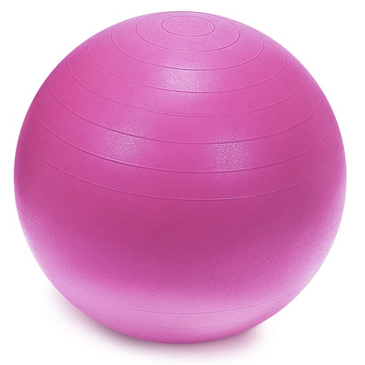 [24-WG081-pink] Sprite Stasis Ball 55 cm