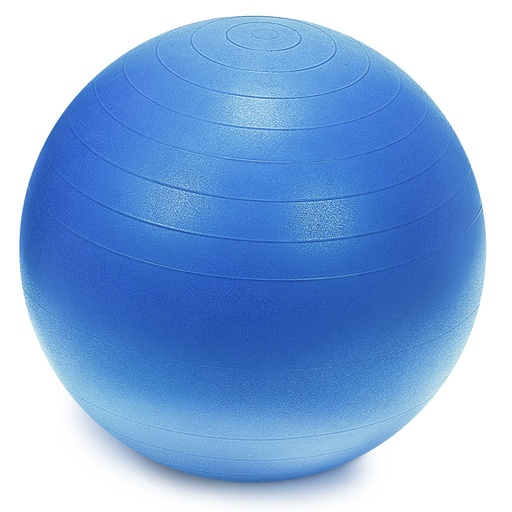 [24-WG081-blue] Sprite Stasis Ball 55 cm