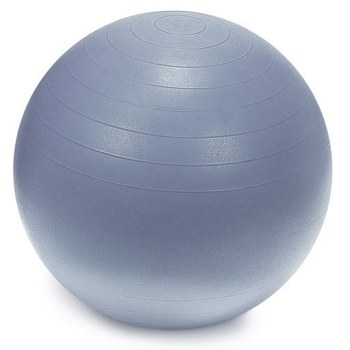[24-WG083-gray] Sprite Stasis Ball 75 cm